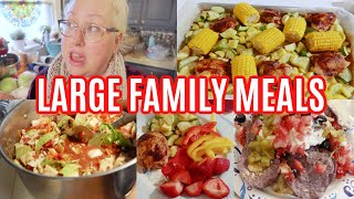 DO I EVER GET A BREAK? LARGE FAMILY MEALS on a Budget! WHAT'S FOR DINNER? Sheet Pan Dinners, LOTS!
