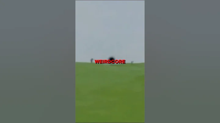 🍄👁️The WEIRDCORE Level - Backrooms Found Footage👁️🍄 #backrooms #creepypasta #shorts