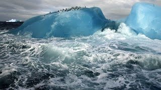 Antarctica may have hit record highs, but is this fake news? HD video Image of Antarctica may have hit record highs, but is this fake news? HD video