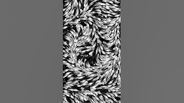 Circles in Flow Field