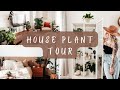 House plant tour 2022 80 plants  ma collection de plantes  frqc