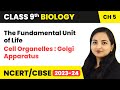 Cell Organelles : Golgi Apparatus - The Fundamental Unit of Life | Class 9 Biology