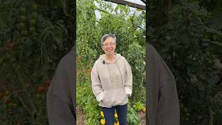 Regenerative Farming with Manda Scott