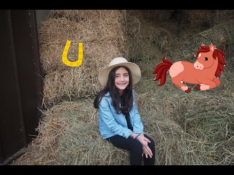 ანასტასია საჯინიბოში