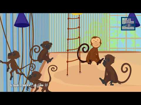 فيديو: هل تستطيع القرود صنع أدوات؟