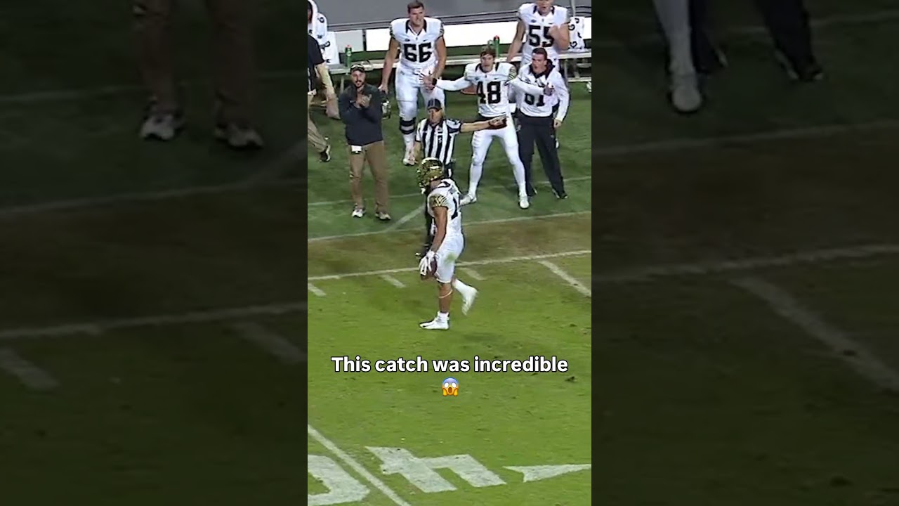 He caught that with one hand 🫨 #wakeforest #accfootball #collegefootball