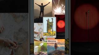 Значение аркана таро «Паж Жезлов» знания и практика таро https://t.me/taro01kz #tarot #раскладтаро