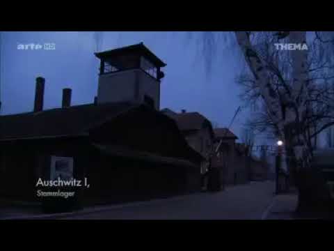 Auschwitz: Arbeit und Alltag in der Gedenkstätte | 7 Tage | NDR Doku