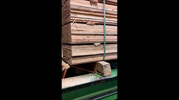 Tagliapacchi STORTI TGS/P-12