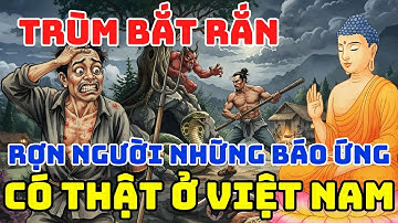 TRUYỆN NHÂN QUẢ 100% - RÙNG MÌNH NGHE KỂ VỀ QUẢ BÁO TRÙM BẮT RẮN MIỀN TÂY - Báo Ứng Hiện Đời