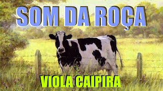 🔴 RECANTO DA VIOLA CAIPIRA - Só Modão De Viola e um Passeio Pelo Interior (top2024)