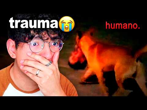 THE MOST TERRIFYING CASES IN MEXICO 😰💀