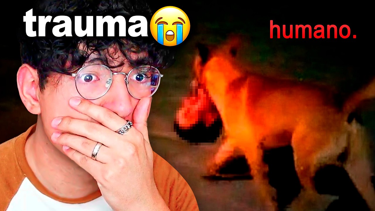 LOS CASOS MÁS ATERRADORES DE MÉXICO 😰💀