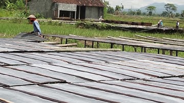 KLATENKU "The Shine Of Java"