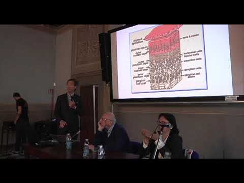 Prof. Stanislao Rizzo - Impianti retinici - Prospettive future - Prima Parte