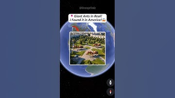 I Found Giant Ants on Google Maps & Google Earth! #shorts