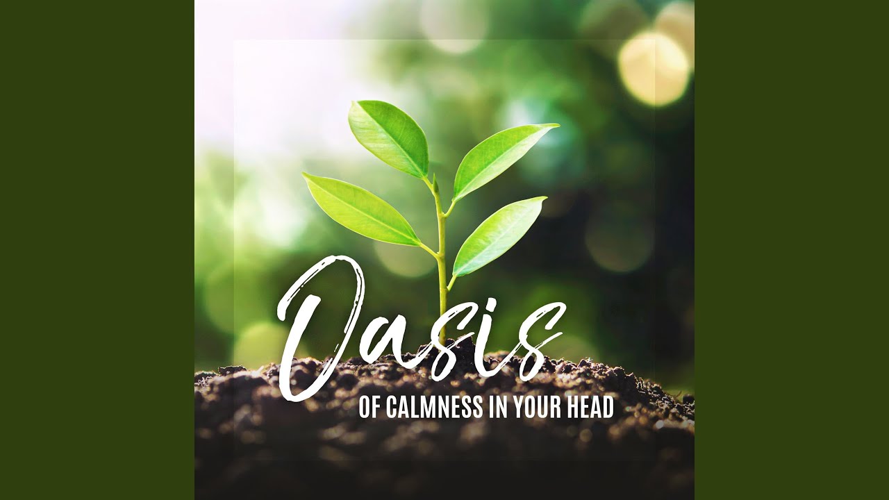 Volatile Street adlı videoyu YouTube'da izle Volatile Street adlı videoyu YouTube'da izle