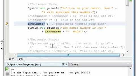 044 - Increment Operator