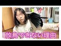 保護したカラスを放鳥しない理由 【カラスのハッピー】