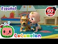 Las Mascotas 🐶🐱 | Canciones Infantiles | Caricaturas para bebés | CoComelon en Español