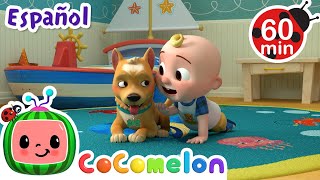 Las Mascotas 🐶🐱 | Canciones Infantiles | Caricaturas para bebés | CoComelon en Español