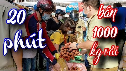 Bạc Liêu chung tay hỗ trợ nông dân Bắc Giang tiêu thụ vải thiều/QUÊ TÔI VN