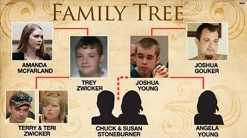 Joshua Young: Dysfunctional family to blame?