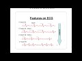 Cardiology - arrhythmias