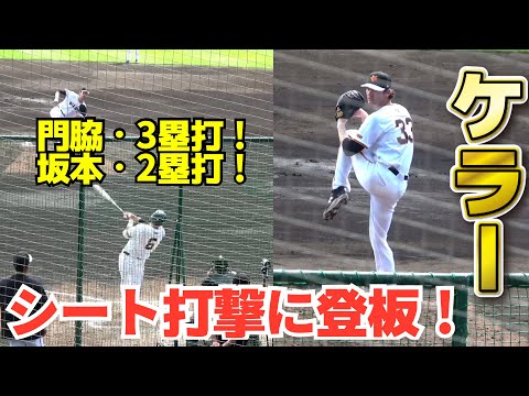 【巨人】新戦力・ケラーがシート打撃に登板！　打者7人と対戦！全投球！　門脇誠が右中間へ3塁打を放つと、坂本勇人が左中間へ2塁打！ジャイアンツ　那覇キャンプ　第１クール4日目2024.2.19