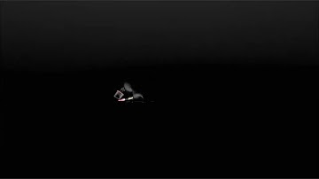 Xilam Animation Logo (HD) In G Major FIX 2