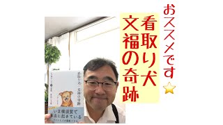 おススメです⭐️  看取り犬  文福の奇跡