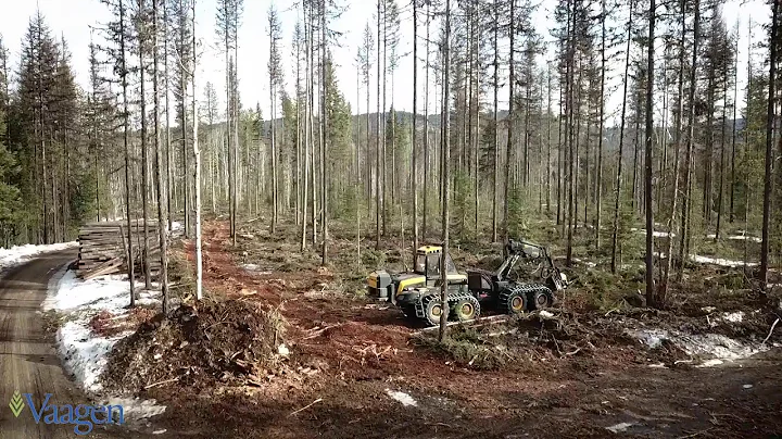 Vaagen Bros. Lumber - An aerial journey through a recent forest thinning.
