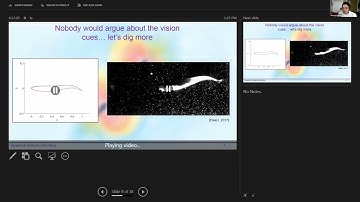 Modeling zebrafish collective behavior: emergence of in-line swimming patterns: Maurizio Porfiri