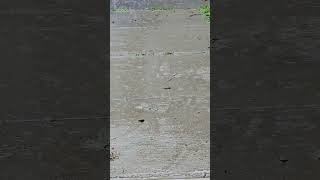 Eldora Ia Asmr 95-Second Mind Cleanse