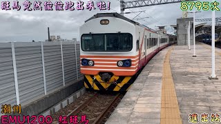 斑馬竟然又偷偷跑出來啦! 2022/8/2 潮州 8795次 EMU1200(1203+1204) 紅斑馬 試運轉 進出站