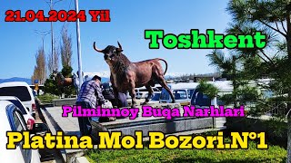 Toshkent vil,Boʻstonliq tumani,Platina Mol bozori,Pilminnoy buqa narhlari.