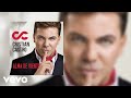 Cristian Castro - Alma de Viento (Cover Audio)