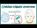 Chediak higashi syndrome  what are the symptoms of chediak higashi syndrome  pathophysiology