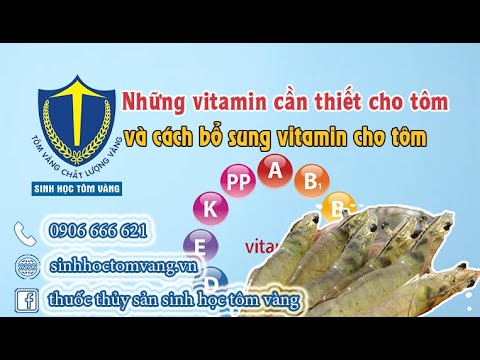Video: Động Vật Cần Vitamin Gì