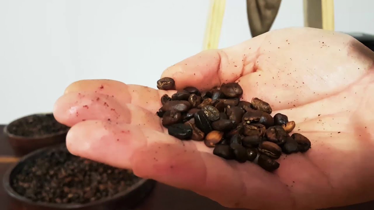 Café con Beneficiado Anaeróbico y Honey