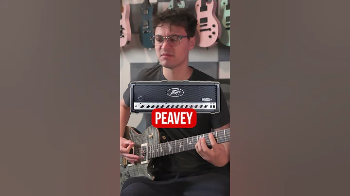 "ALL HIGH GAIN SOUNDS THE SAME"... (PEAVEY VS MESA/BOOGIE)