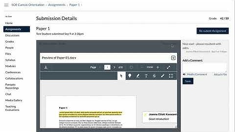 View Assignment Feedback in Canvas
