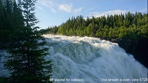 Lecture 4: ARP/GARP, DHCP, DNS, LoadBalancing