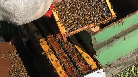 Installing a Honeybee NUC - How to