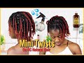 MY MINI TWIST MOISTURE ROUTINE ON NATURAL HAIR | HOW I MOISTURIZE MY MINI TWIST