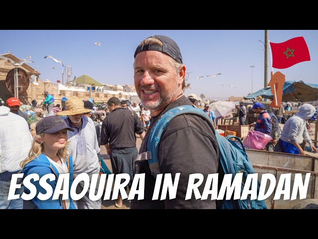 Travel vlog - WHAT IS IT LIKE IN ESSAOUIRA DURING RAMADAN IN MOROCCO? We re-visit the fishing port and Medina.