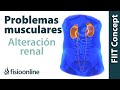 Disfunciones del riñón y dolor de espalda, lumbar y lumbalgia - Causas y tratamiento