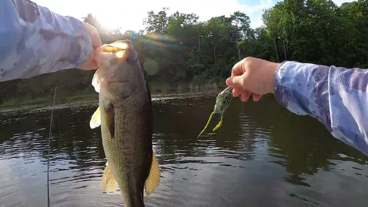 Mud Lake Frog Fishing 2024 – Strong Bass!