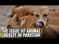 Dr. Ghani Ikram dedicated his life to animal welfare | Pakistan Dogs | Lahore | Latest English News