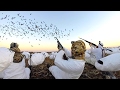8 MAN LIMIT!!! EPIC Goose Hunting in Kansas 2017